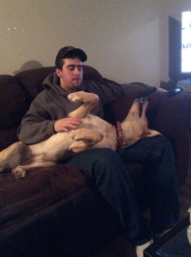 MACoombs1's tweet photo. She thinks she's a lap dog #crazydog https://t.co/Yc1mINg2Jo