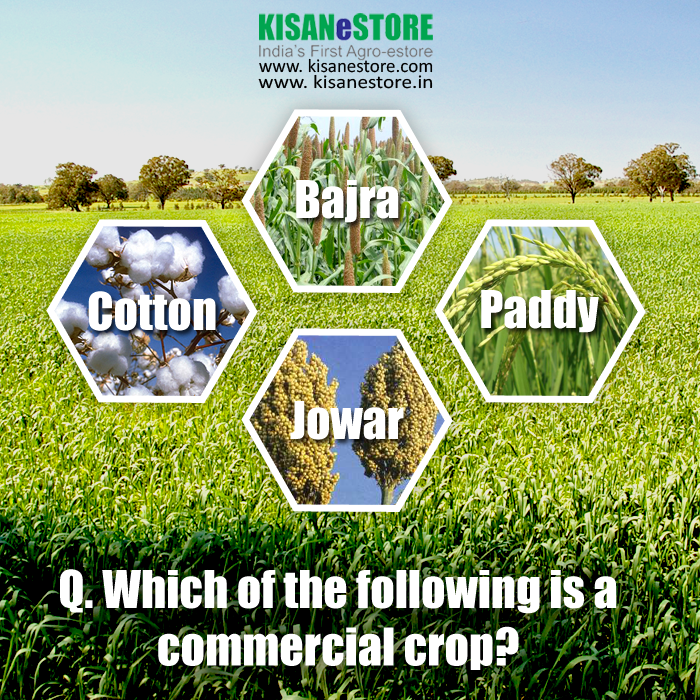 Biosar_IN's tweet photo. RT @KISANeSTORE: Can you answer this? #Agriculture #Quiz https://t.co/kWvVirDiHS #biosar #organic #manure