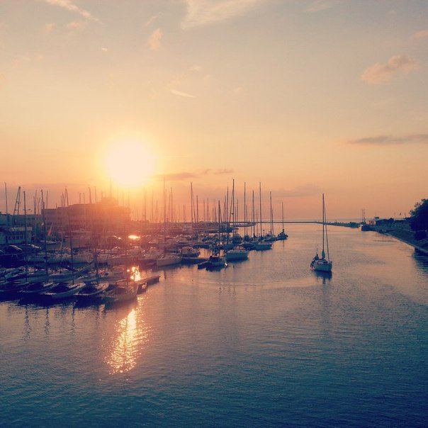 Хорошего дня!
#Eesti #Estonia #Эстония #Tallinn #Таллинн #EstonianLife #visitestonia  #balticnewslife #BNL