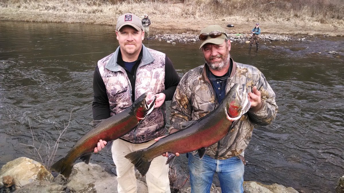 Idaho Fish & Game created a twitter account! South Fork Clearwater River Steelhead!