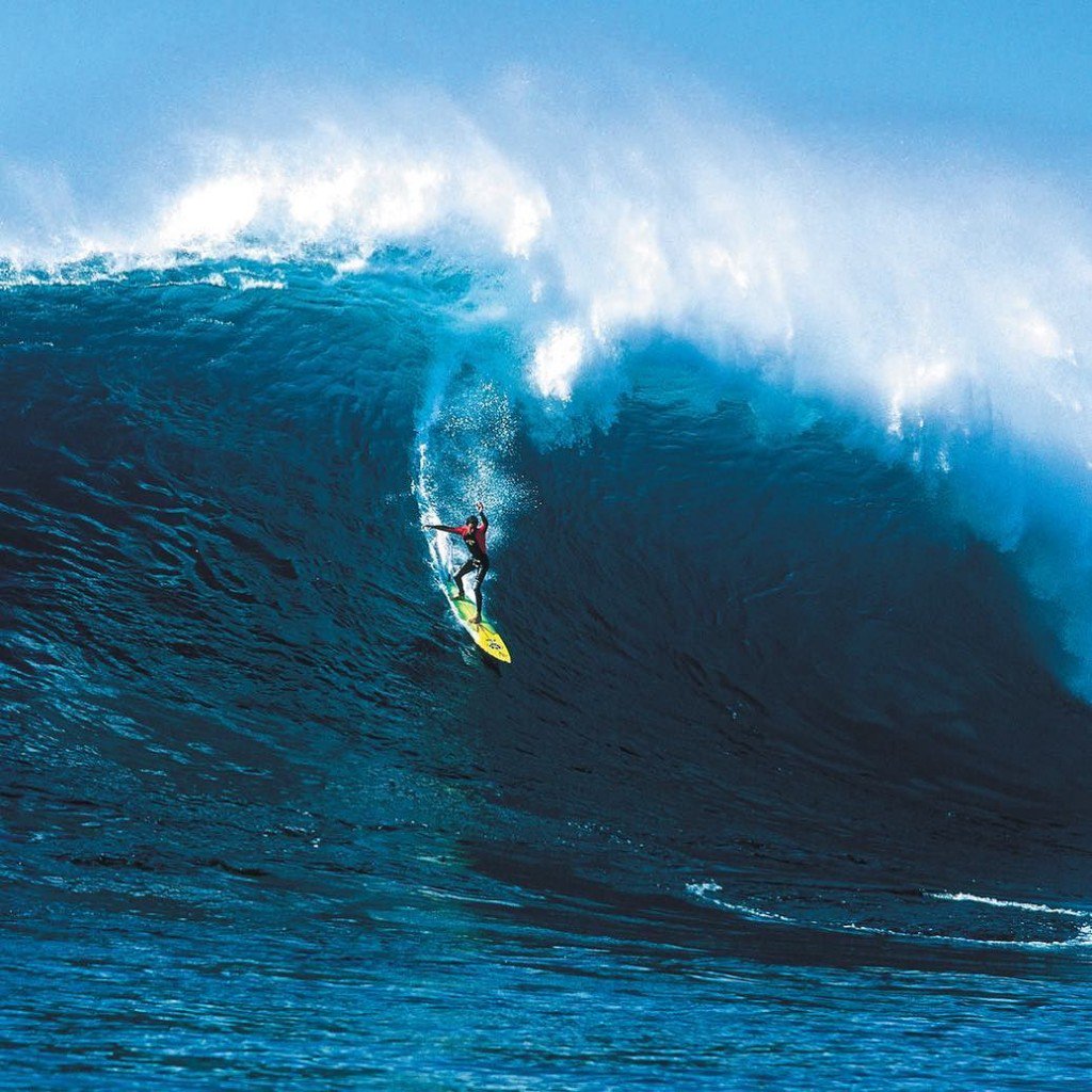 Surf Shots tweet media