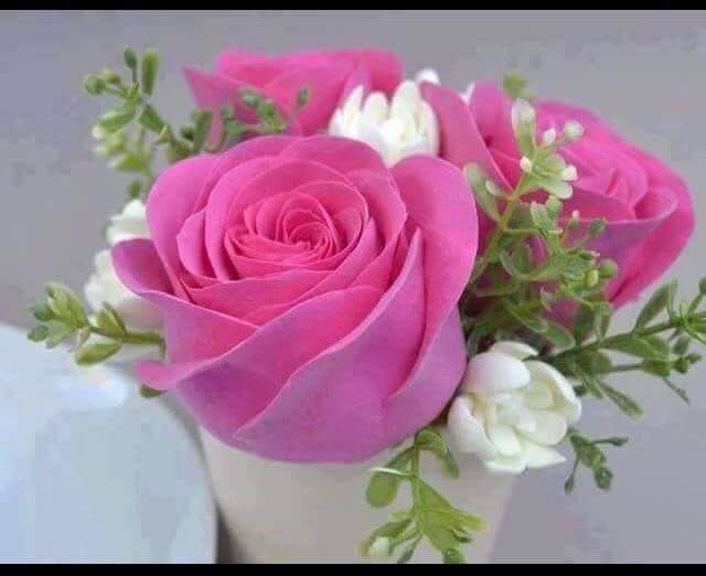 iOpK5zzHDJa3okR's tweet photo. @Whma121 @aljana_97 
احسنتي النشر جمعة صباح الورددددد https://t.co/A5GdceZPtn