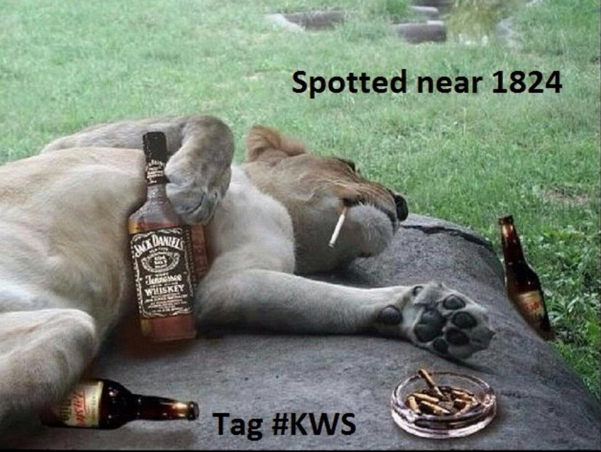 Toet33's tweet photo. #KOT https://t.co/gBjfOm43EZ