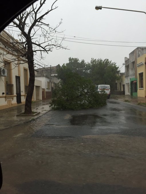 Ver imagen en Twitter Ver imagen en Twitter