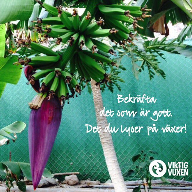 Bekräfta. Det du lyser på växer!