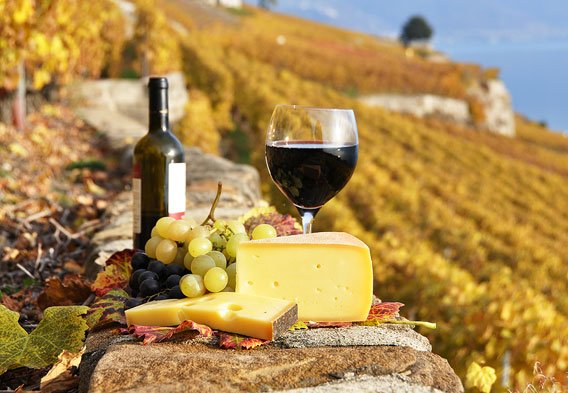 ACLEInfo's tweet photo. #ACLE100 No. 27 Wine in Tuscany. Not at camp!- but after is just fine!! #TEFL #Wine Apply: https://t.co/sLWwFVo2Br https://t.co/v4SSqn5Wke