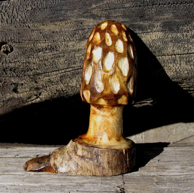 Emotional_Oasis's tweet photo. Forager Morel Driftwood Carving https://t.co/UW1eI9RuCU #jewelryonetsy #FungusFun https://t.co/jgpLjJGW41