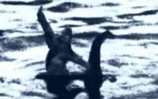 CoachEgghead's tweet photo. More believable than anything Hillary says & Bernie's economic plans. #BigNessie #LockFoot https://t.co/WP19QpSe38