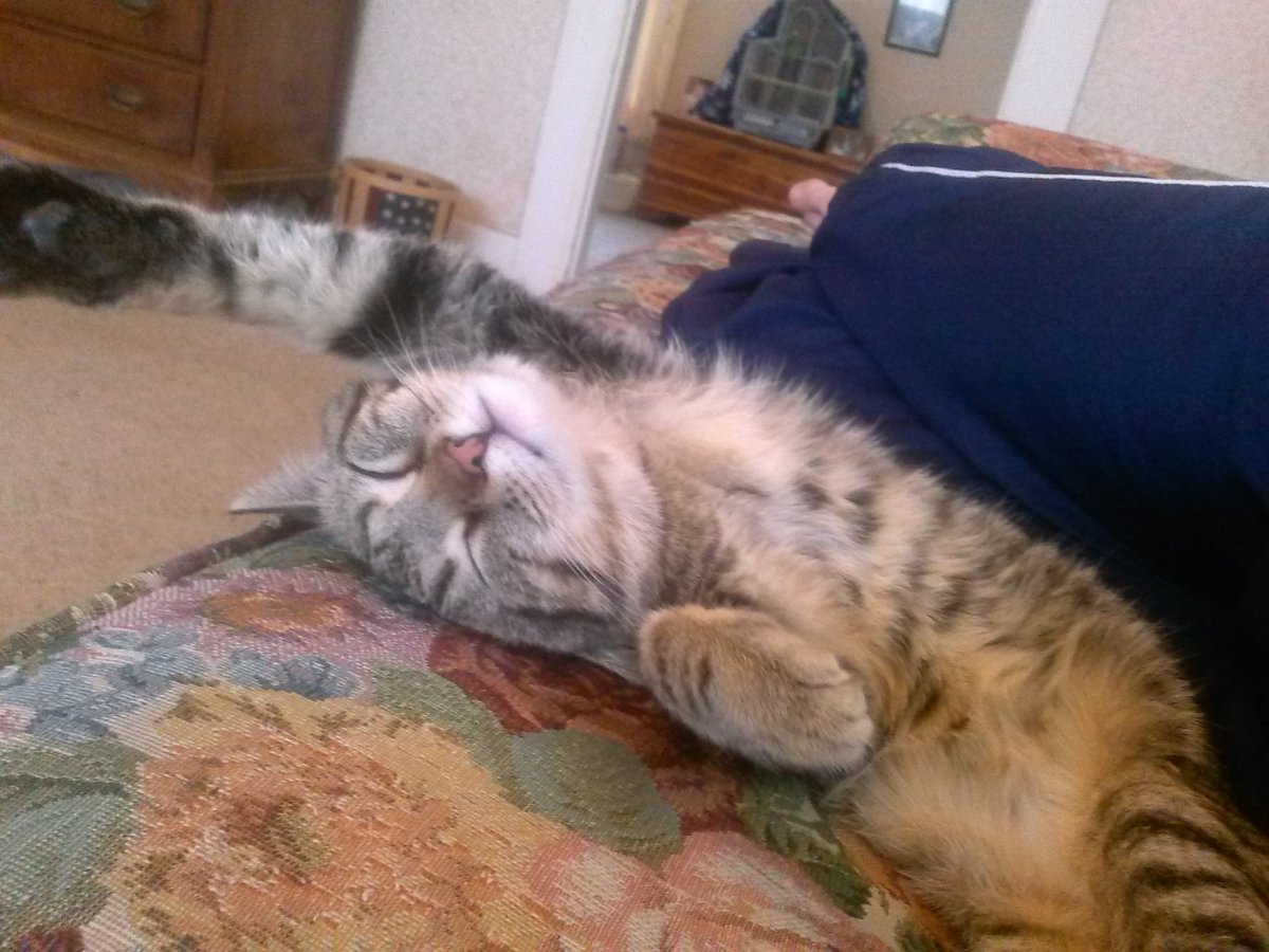 jon_moxIey's tweet photo. Me rn https://t.co/XrnKiTSmpB