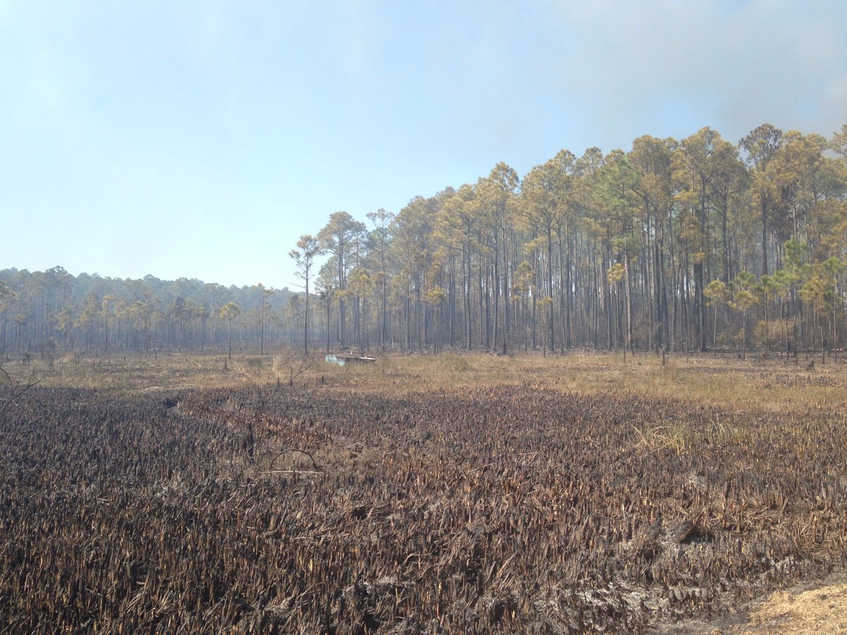 USFWSFire's tweet image. Grand Bature fire update: The fire is still considered 90% contained &amp;amp; 4249 acres #grandbature #MSfire #ALfire