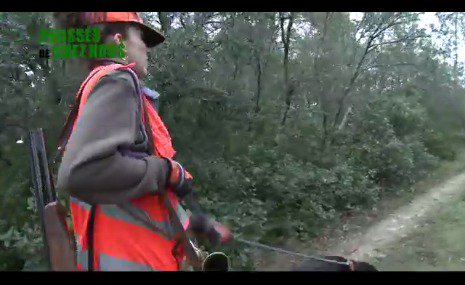 La chasse, passion de femmes - dans le #Gard ow.ly/Ycz6Y #chasseresses