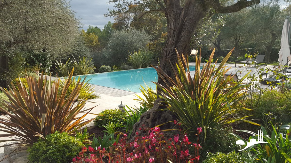 JARDINEA tweet media