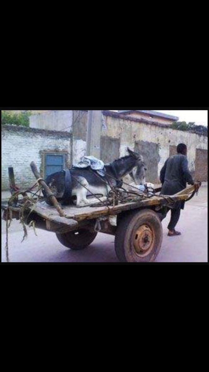 Zengin çok Mala sahip olan değil,
Zengin Yüreği ve Merhameti olana denir.

Hz. Muhammed SAV 🌹

࿐HayırLı Cumâlar࿐