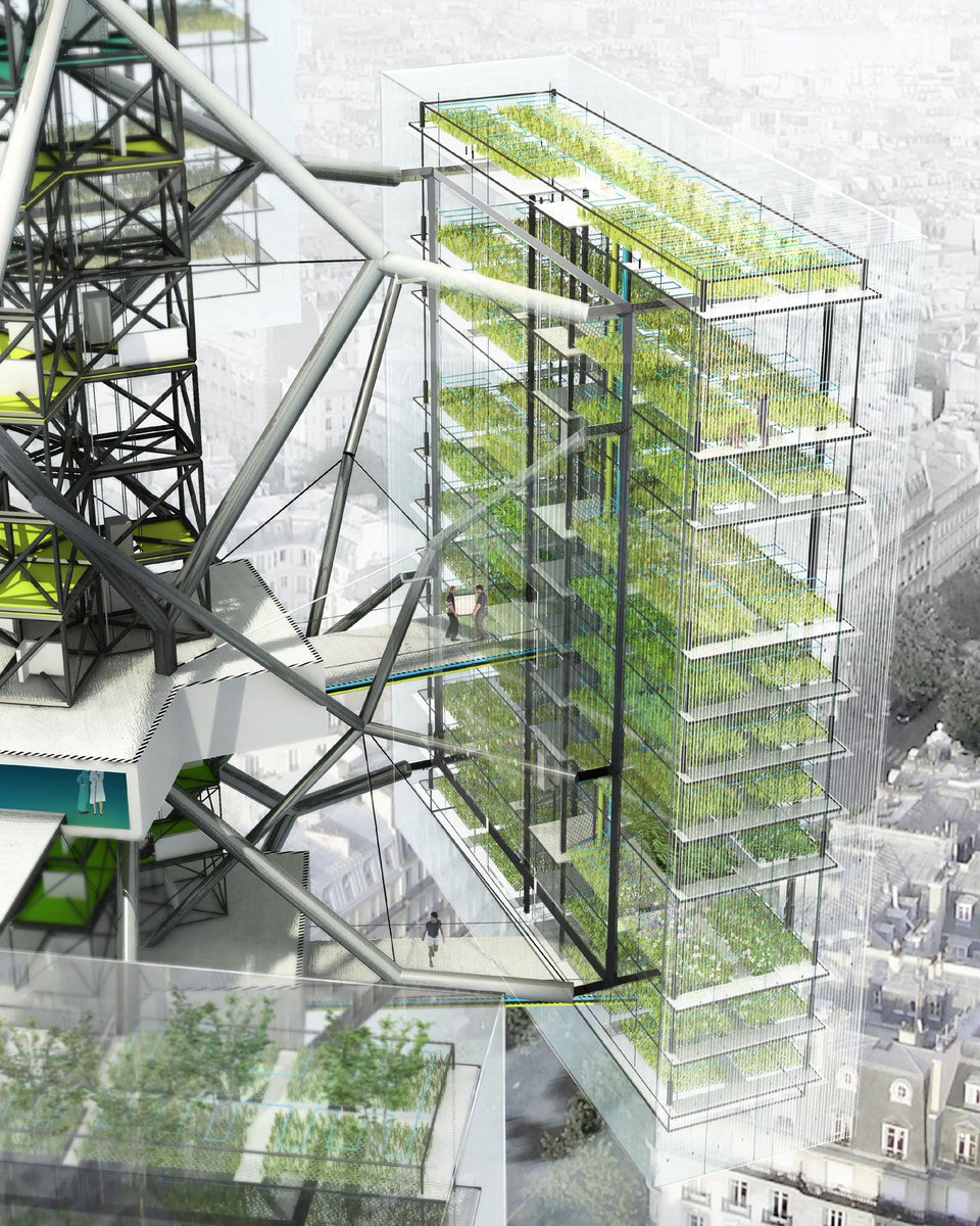 futurasciences's tweet photo. Les fermes verticales seront-elles le futur de l'#agriculture ? https://t.co/cfFZdfQtLl #développementdurable https://t.co/qn0c5jYqFD