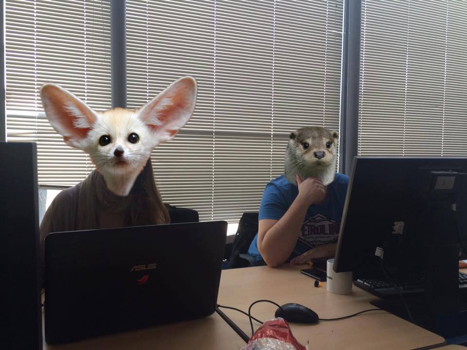 Animals_Rumball tweet picture