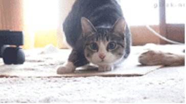 JobProd_Python's tweet photo. Quand je m'apprête à exécuter mon code pour la 1ère X et que... 😂
https://t.co/A3UoXOebT4 #JoiesDuCode #BonVendredi https://t.co/mKVa4BGIyf