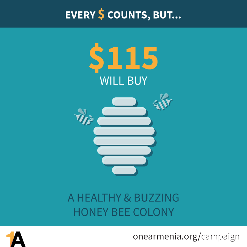 ONEArmenia's tweet photo. People in #Baghanis are going to be excellent #beekeepers. Know what they need first?#Bees. https://t.co/Yfx5thdbMA https://t.co/dP1AYwsfI3
