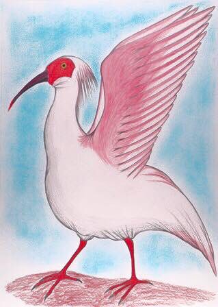 朱鷺のtwitterイラスト検索結果 古い順 朱鷺のtwitterイラスト検索結果 古い順
