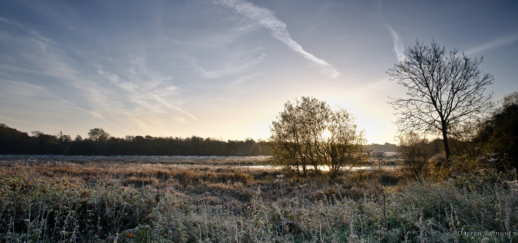 WPRGodalming's tweet photo. These frosty mornings are making for some fantastic photos. This is one of the best we've seen #Godalming https://t.co/F1OZ26CI07