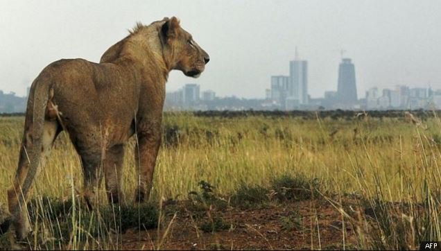 BBCAfrica tweet picture