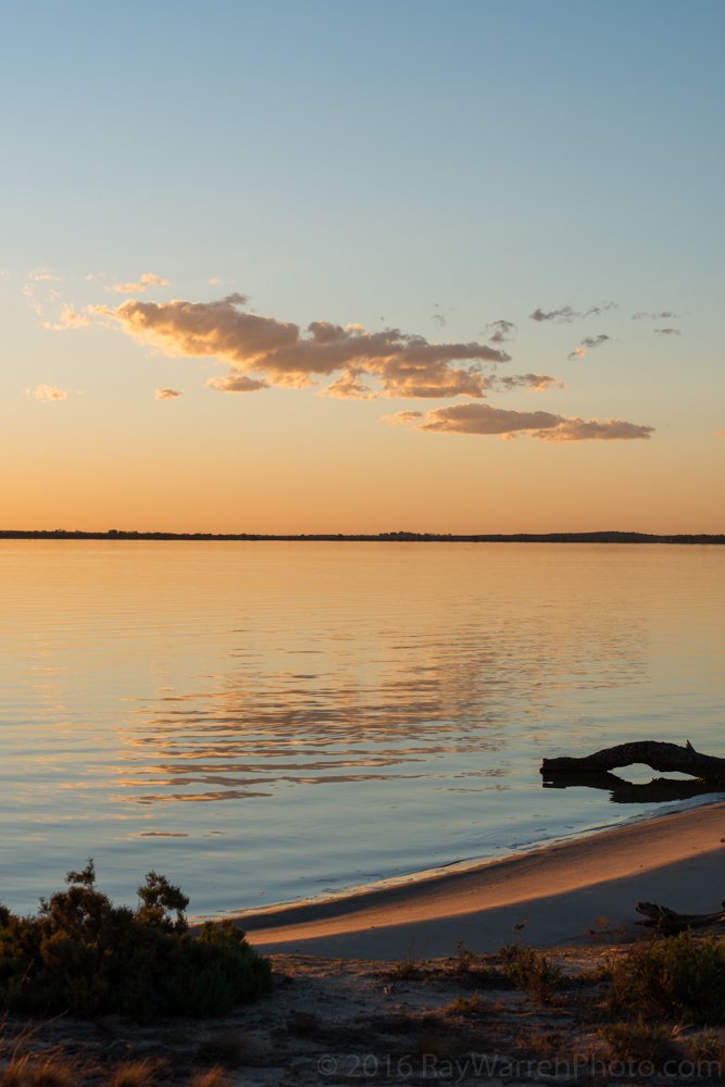 RayWarrenPhoto's tweet image. #lakebonney #riverland #southaustralia #travel