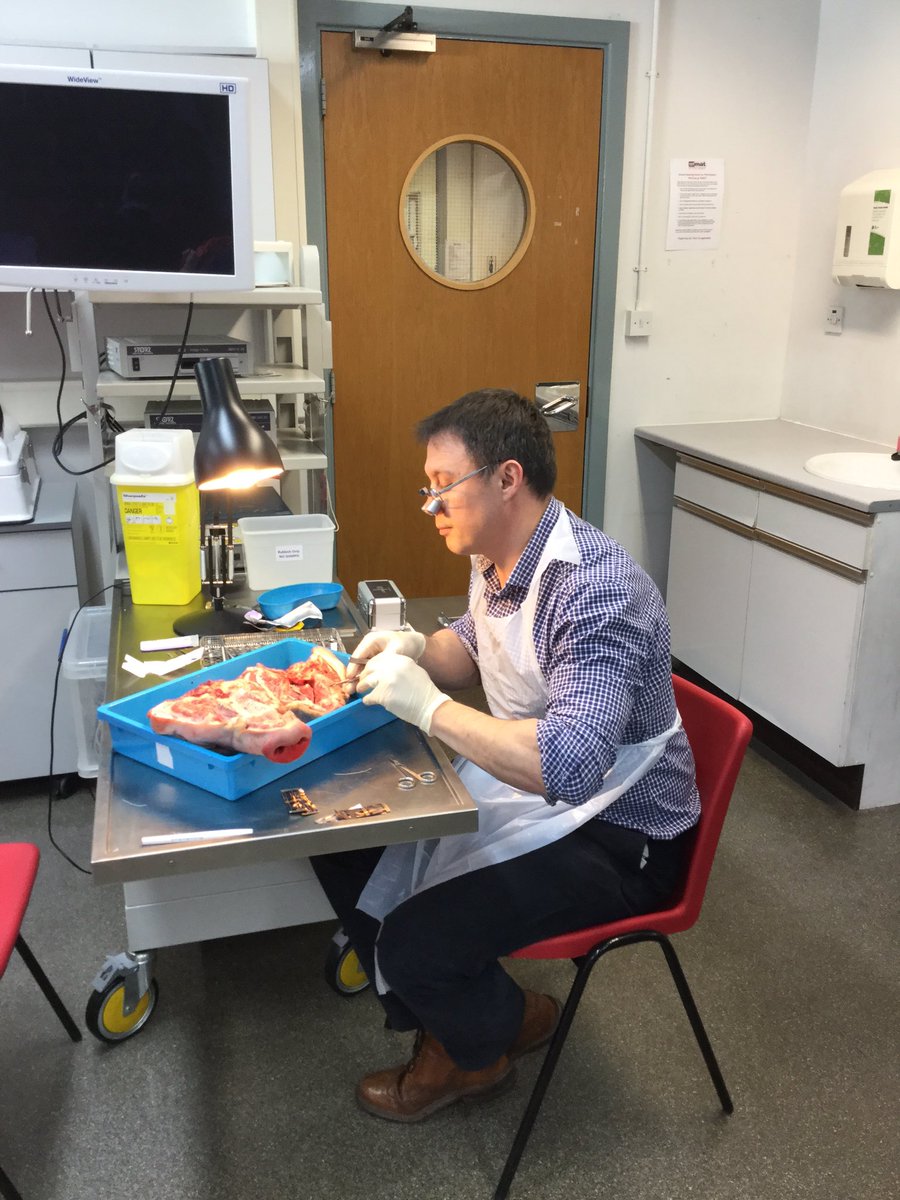 DENTSPLY_UK's tweet photo. RT @SurgerySkills: Smile! It's that #FridayFeeling with @CardiffDental @DENTSPLY_UK @AdvTherGroup #dentalimplants https://t.co/lYYliwv8sp