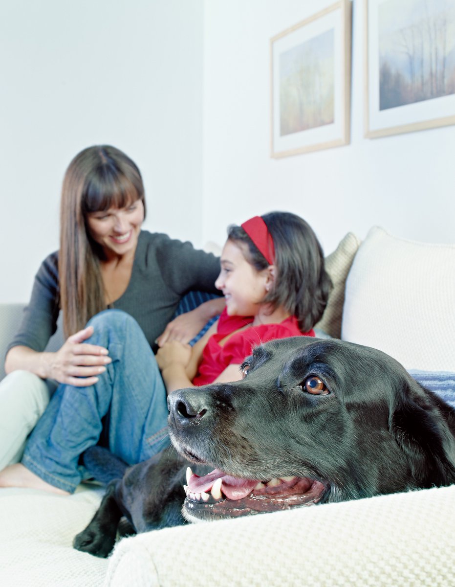 The 5 Steps to a Warmer Home 
tinyurl.com/hr2fcxc