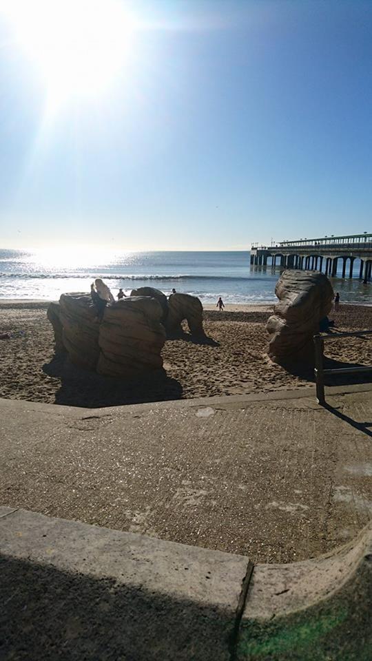 coastalactivity's tweet photo. Join us for a relaxing Friday morning walk on the prom or for the adventurous among you why not try out our boulders https://t.co/HsKEWIRSWM