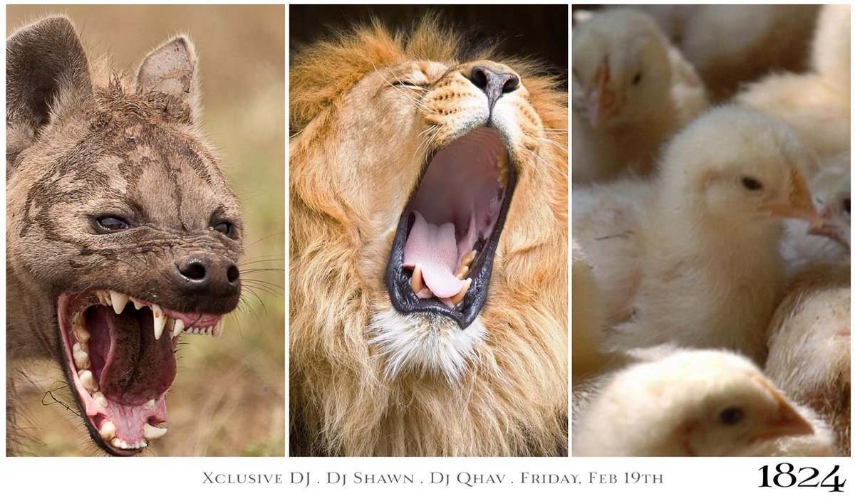 ...tonight's game plan..<a href="/xclusivedeejay/">#ThePeoplezDj</a>