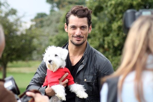 Happy Birthday <a href="/DGandyOfficial/">David Gandy</a> A true friend to <a href="/PupAid/">Pup Aid 2026</a> 🐶🐱🎂🍸