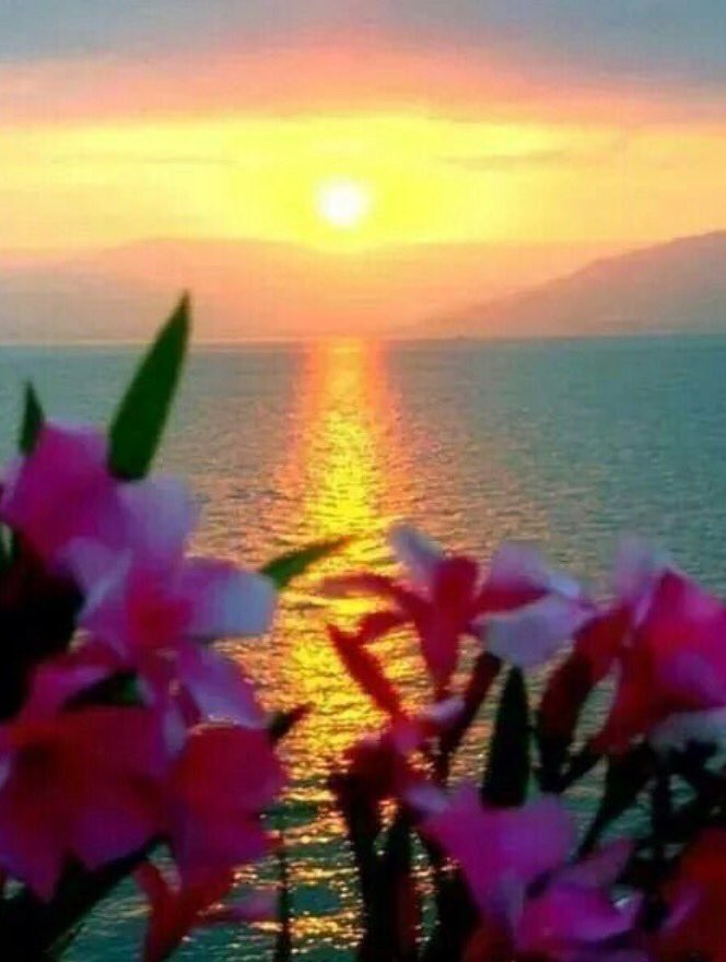 ShowoffByDesign's tweet photo. Beautiful day everyone... https://t.co/mzw8sp9DvZ