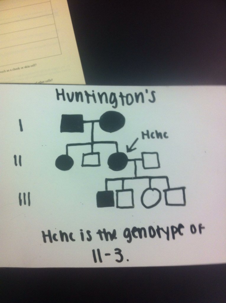 hankd_lhs's tweet photo. #ballhr4 #lhsgenetics @msball_lhs @msstern_lhs Anna's question answer https://t.co/HwNdVfKX06
