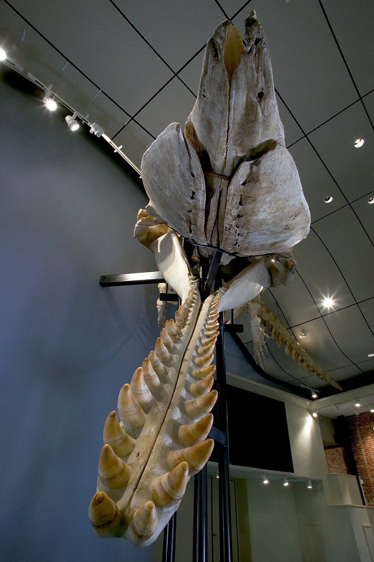 ackhistory tweet media