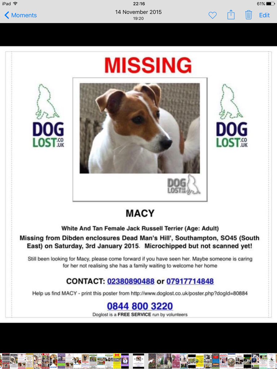 BlueFrenchie1's tweet photo. @FindMacy  💕 https://t.co/OT6ugYxM32