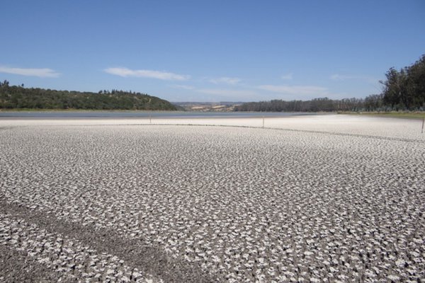 adnradiochile's tweet photo. Conaf presentó recurso de protección por laguna que fue secada ilegalmente https://t.co/8R1QqqXzmh https://t.co/nsc8SouMLm