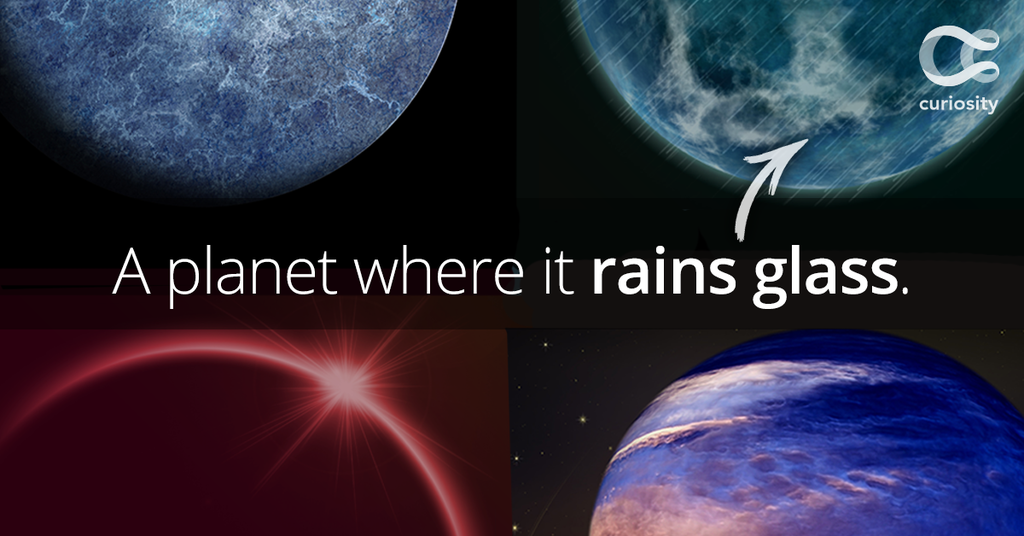 Some of the strangest we've found