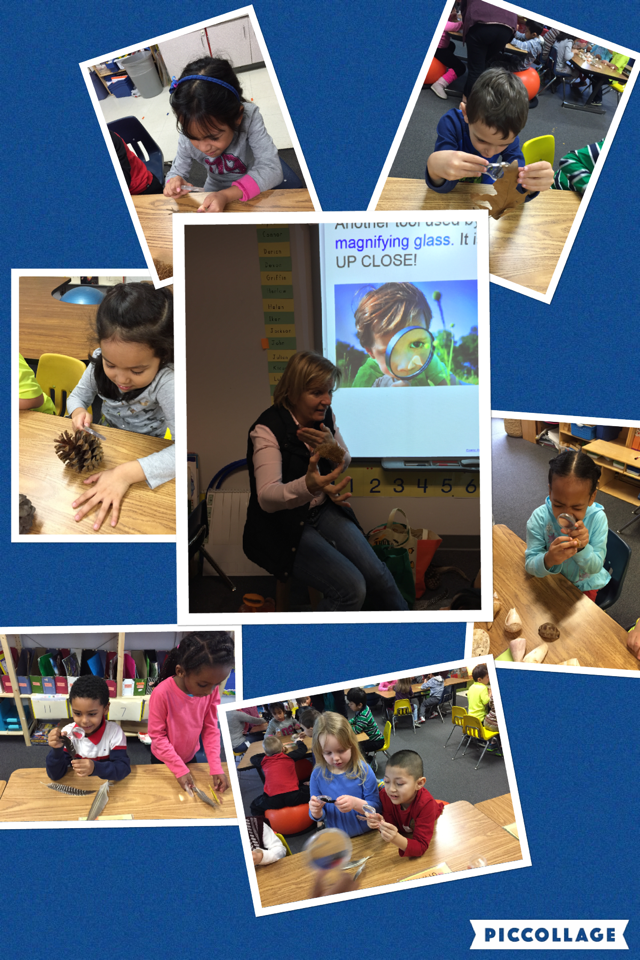 Mrs. Spranger brings her nature magic to the classroom. @apsscience pic-collage.com/_NrUyxEZQ