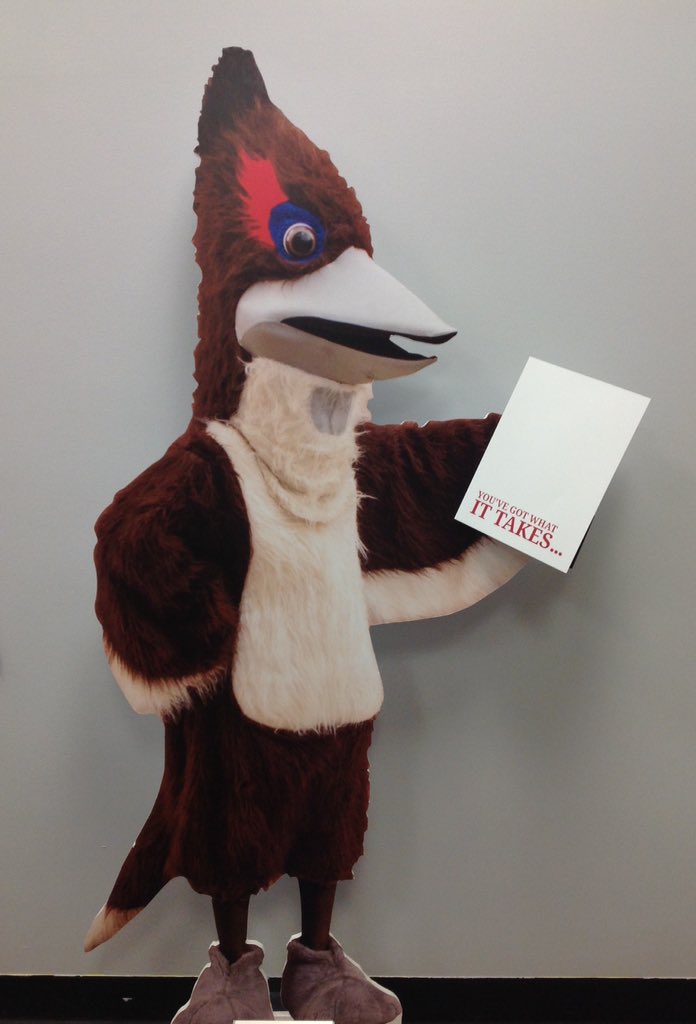 ElizabethSeton's tweet photo. Acceptance letters were mailed yesterday! Roxy the Roadrunner can't wait to meet #Seton2020 https://t.co/JuapD4JkCz