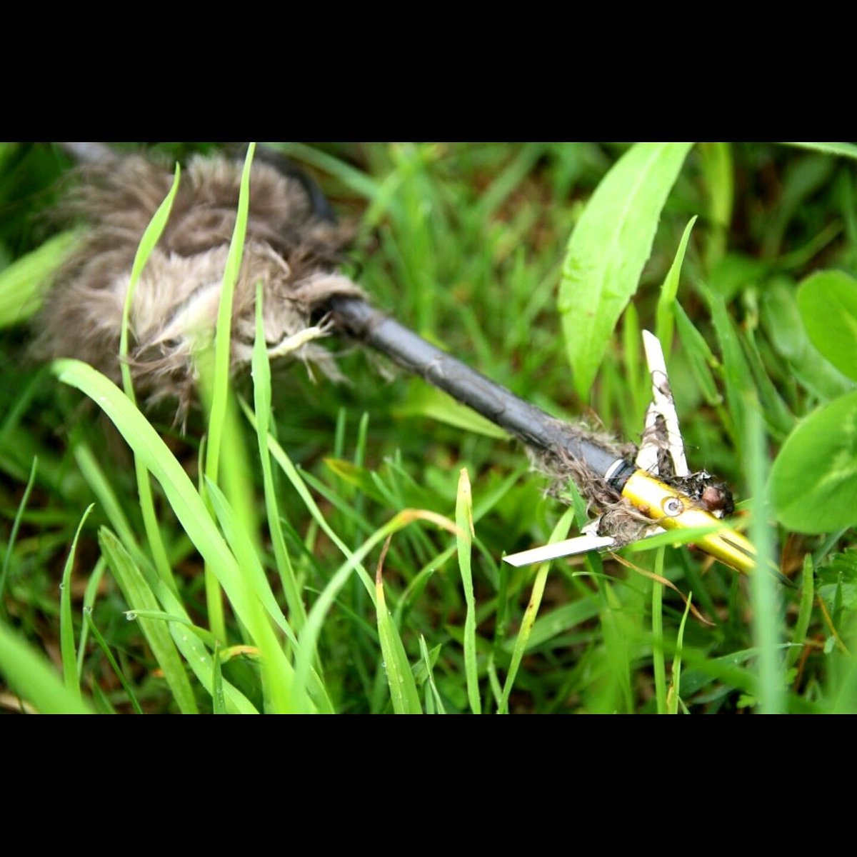 Rage Broadheads tweet media