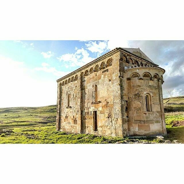 sardinia_exp's tweet photo. Tesori campestri
Pic by @mary__67
#sardiniaexp #semestene #sannicoladitrullas #sardegna
https://t.co/fkNZsFhZDS https://t.co/sg3tSSkKJg