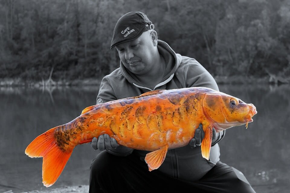 <a href="/madbaits/">MAD Baits</a> <a href="/deceptionangli1/">Deception Angling</a> carpaddictionshop.com