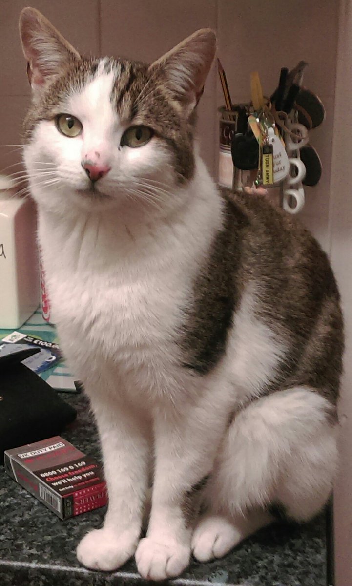 Gillian Moffat 🇱🇻 tweet media