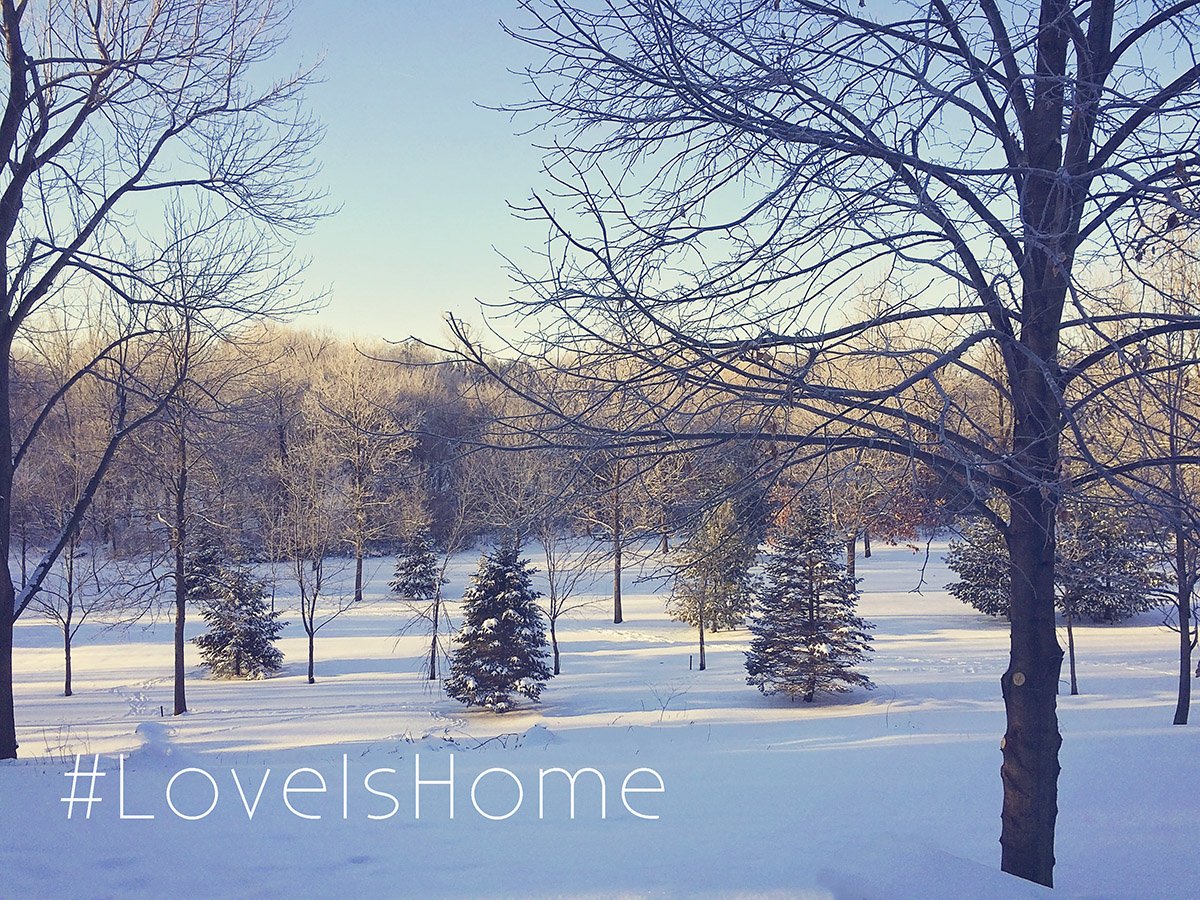 We love the view at our home...it's like being at the cottage every day! #LoveIsHome  <a href="/realtordotcom/">Realtor.com</a>