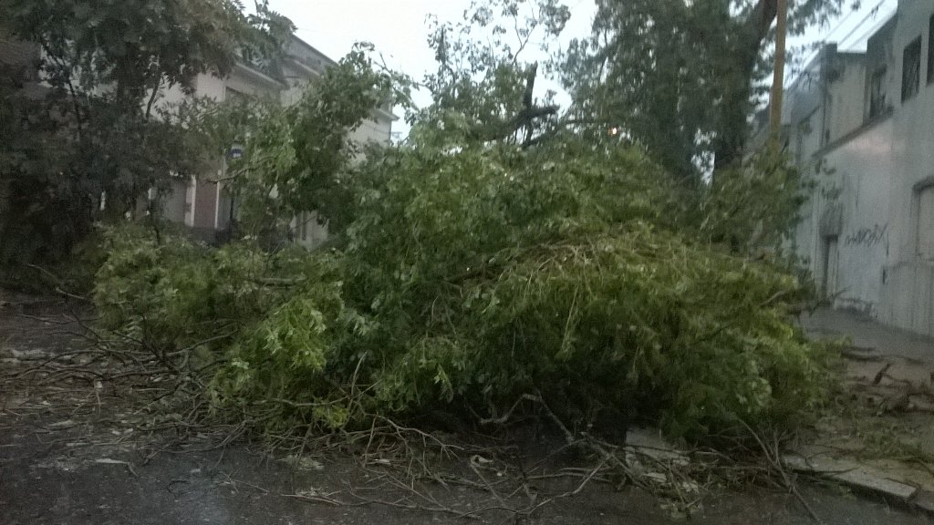 majuliles's tweet photo. @todonoticias @AiredeSantaFe #temporal #santafe barrio #candioti https://t.co/TlcOk0oXqZ