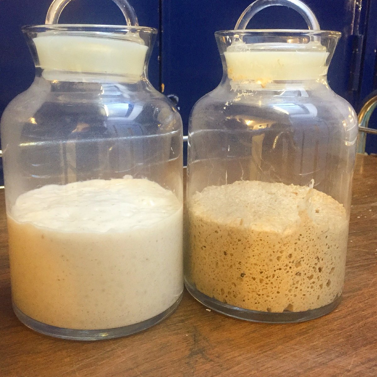 JoeBlack199's tweet photo. I've been feeding these two for a couple of months now #Sourdough #wild #yeast #Starter https://t.co/x4akjFOlDV