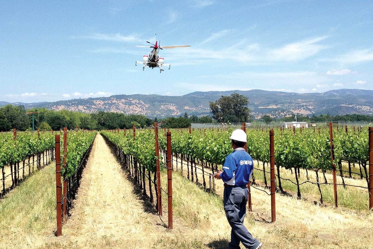 Businessweek on Twitter "Will drones the toast of Napa? https
