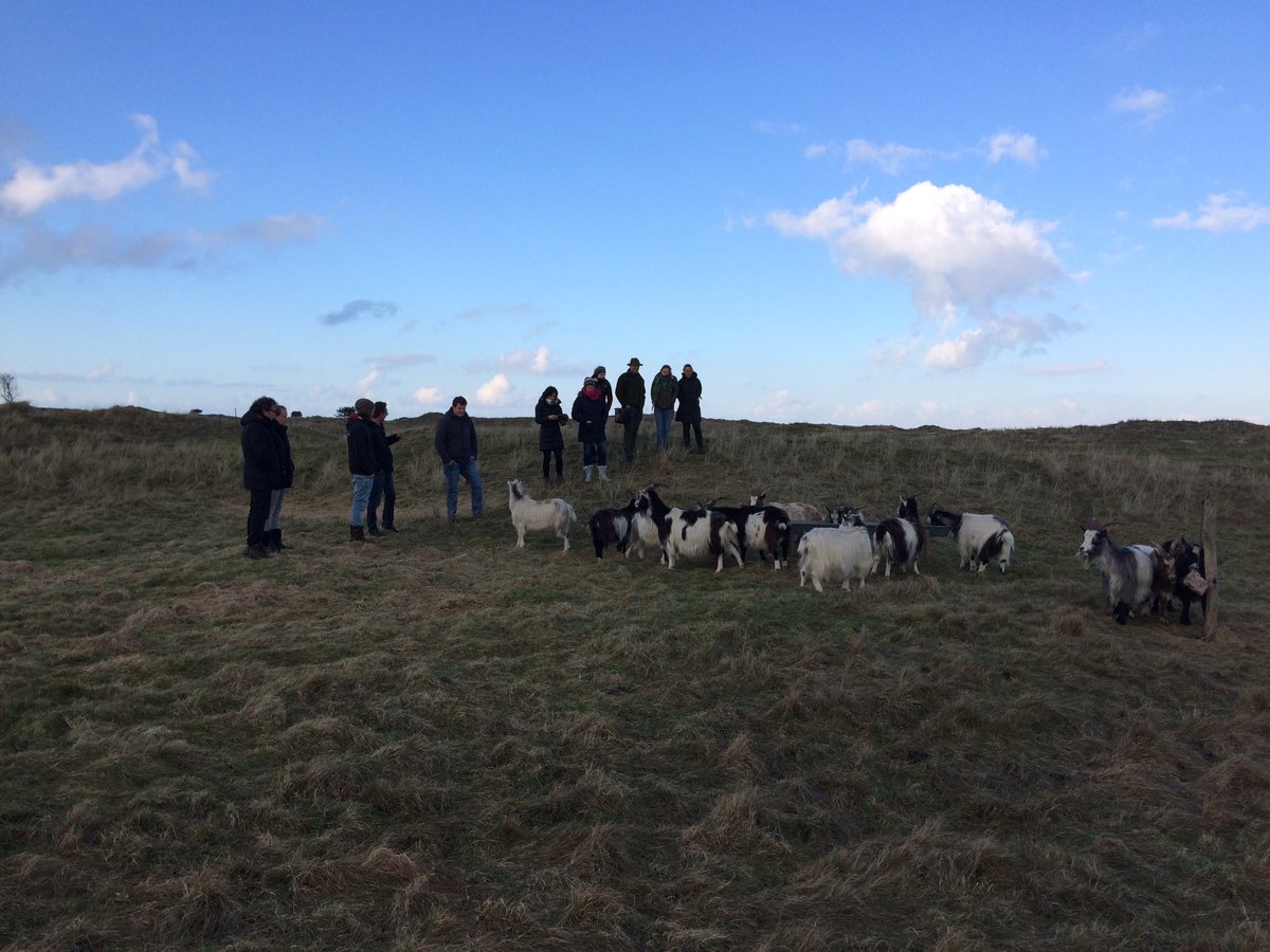 Op pad langs het vee met collega Rein Jan en assistent #boswachters <a href="/staatsbosbeheer/">Staatsbosbeheer</a> #Terschelling