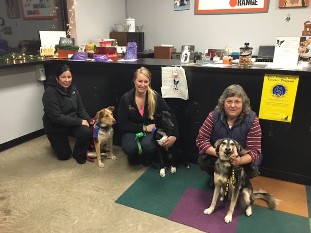 AnelliXavier's tweet photo. Thank you Joanne for giving Allie her forever home.#adoptapet #helpinghounds #caninegoodcitizen https://t.co/yrFEN789qY