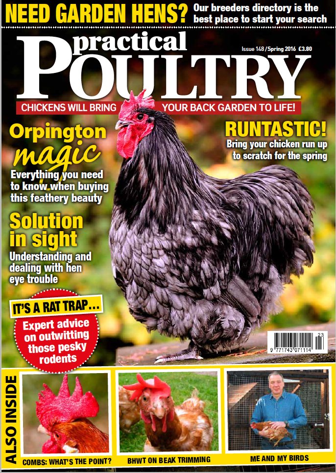 Practical Poultry tweet media