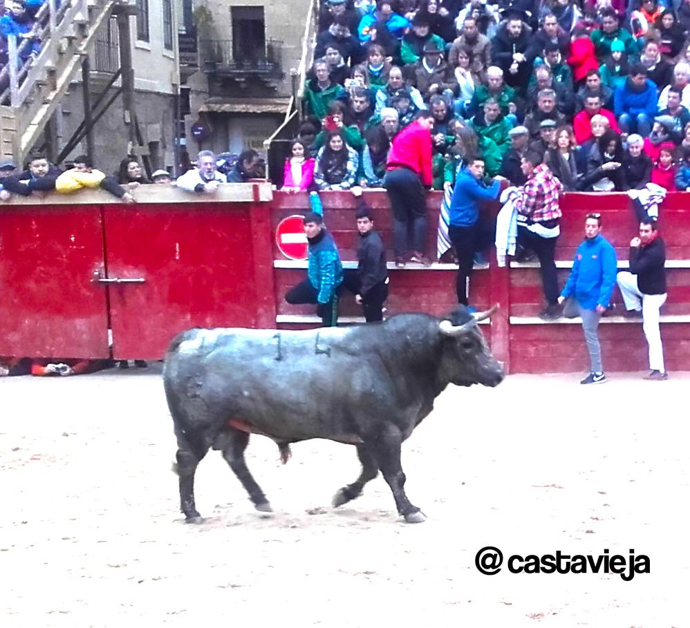 Era un #santacoloma pero hechurado como un #pablorromero.
#CarnavaldelToro #CiudadRodrigo #Salamanca <a href="/pdencastes/">PlataformaDiversidad</a>